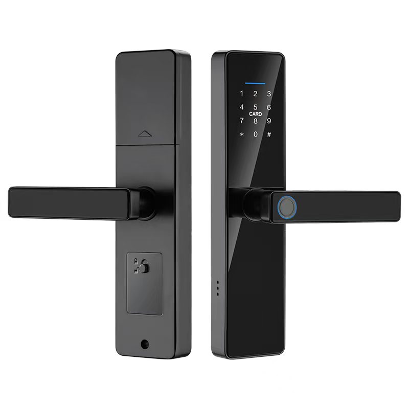 DESE01 Smart Entry Door Lock