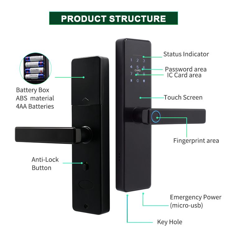 DESE01 Smart Entry Door Lock