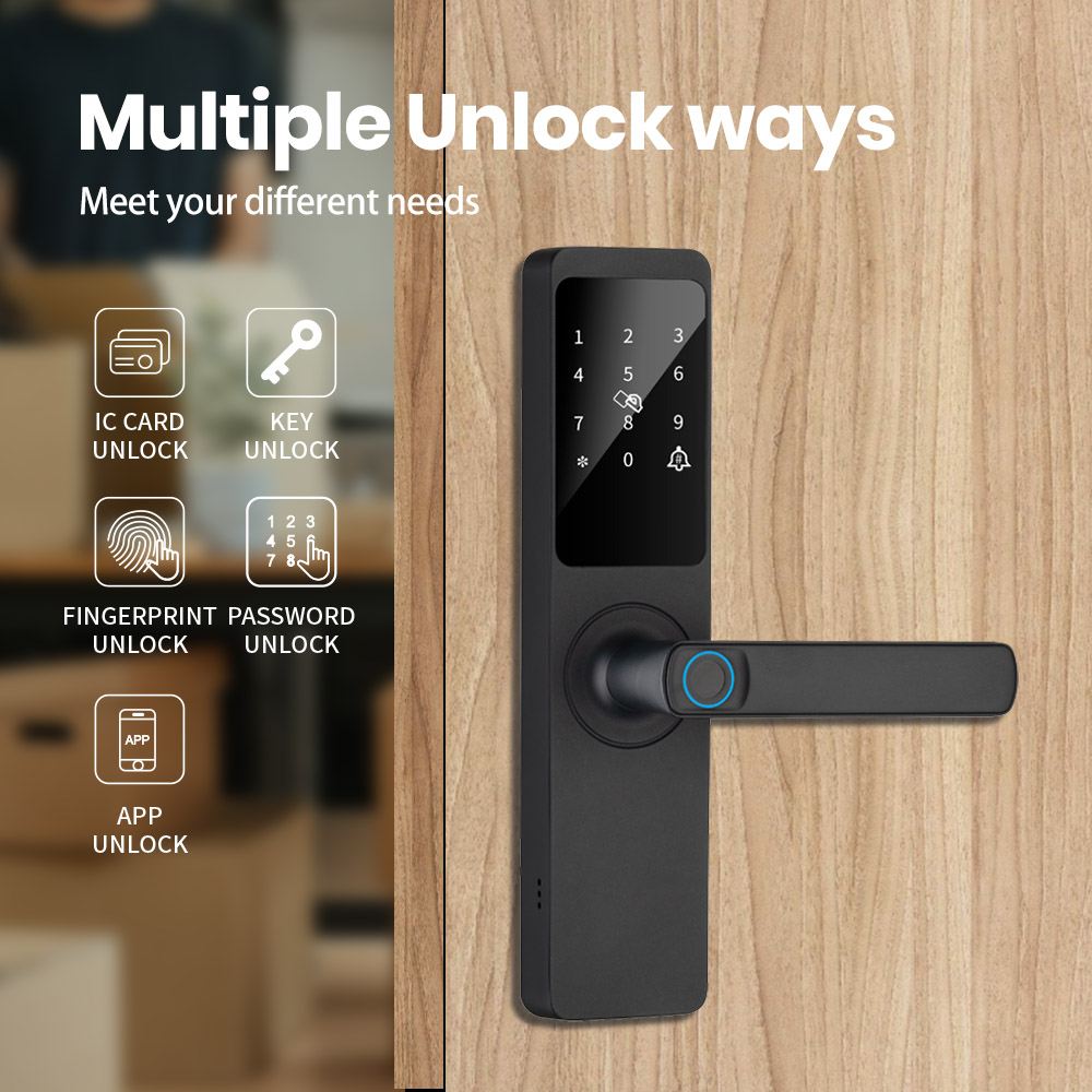 DESE03 Smart Entry Door Lock