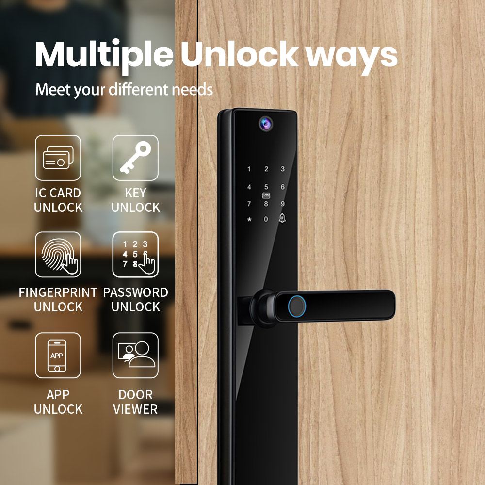 DESE05 Big Smart Entry Lock